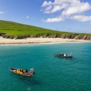 Blasket Islands Sea Life Tours
