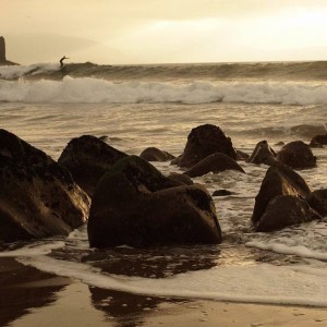 Lessons, rentals and shuttle available for the entire family.